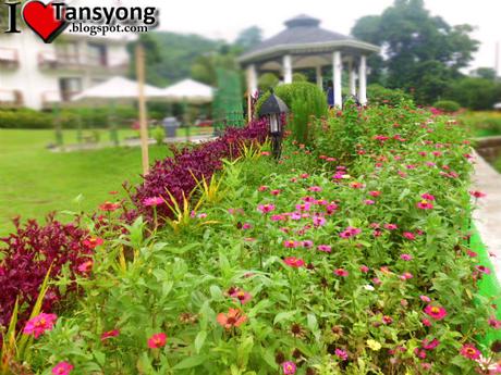 Thunderbird Resort Binangonan Rizal, luxury stay in Rizal, Thunderbird Resorts review, Binangonan Rizal travel, relaxing getaways near Manila, luxury resort in Binangonan, top resorts in Rizal, Thunderbird Binangonan experience, serene resorts in Rizal, best team-building venues near Manila, hotel with golf course in Rizal, Thunderbird Resorts Philippines, Binangonan tourist spot, staycation in Rizal, relaxing resorts for families, resorts near Metro Manila, guest speaker at Thunderbird Resorts, seminar venues in Rizal, peaceful resort in Binangonan, luxury accommodations in Rizal, scenic resorts near Manila, tranquil getaways in Rizal, resorts with swimming pools in Rizal, best places to stay in Binangonan, Binangonan Rizal luxury experience, jacuzzi resort near Manila, resorts with stunning views in Rizal, nature retreat in Rizal, contentment in life travel story.