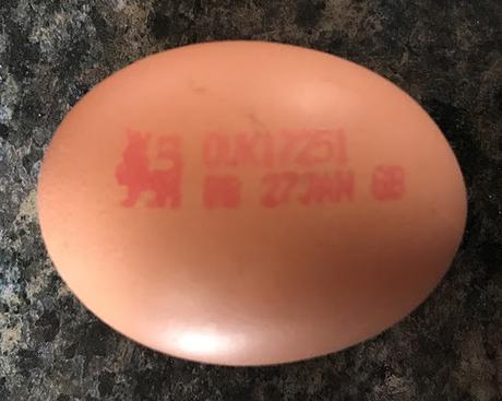 Chickens and Eggs: White vs Brown