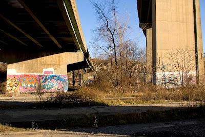 Yikes! 31 thousand photos over 20 years, how do you make sense of it all?