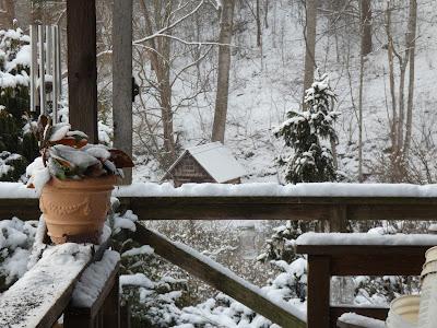 Polar Vortex Polar Vortex