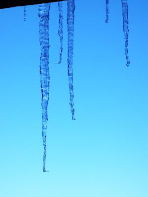 Polar Vortex Polar Vortex