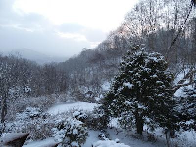 Polar Vortex Polar Vortex