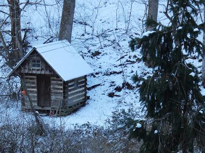 Polar Vortex Polar Vortex