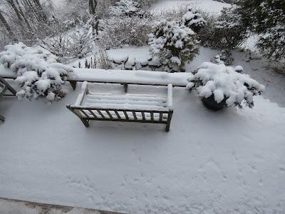 Polar Vortex Polar Vortex