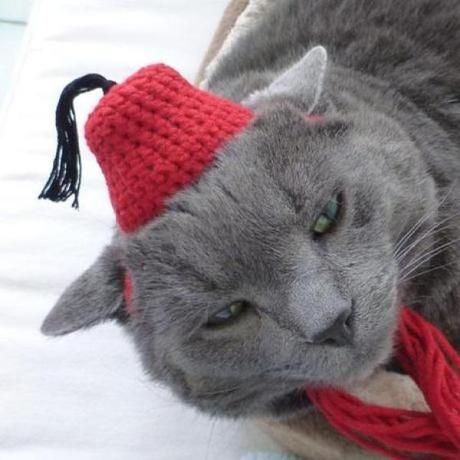 What’s Behind the Fez? Ten Intriguing Facts About the Iconic Hat Cat Wearing a Fez