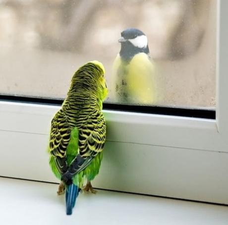 Ten Stylish Window Designs to Elevate Your Home’s Look Top 10 Stylish Windows for Your House