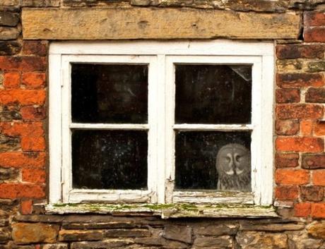 Ten Stylish Window Designs to Elevate Your Home’s Look Top 10 Stylish Windows for Your House