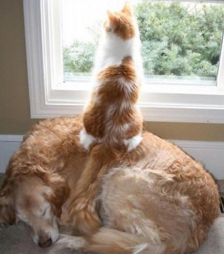 Ten Stylish Window Designs to Elevate Your Home’s Look Top 10 Stylish Windows for Your House