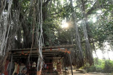 Journey to India 24-25, 2: Pilgrimage to Places of Lord Dattatreya – 1 Journey to India 24-25, 2: Pilgrimage to Places of Lord Dattatreya – 1