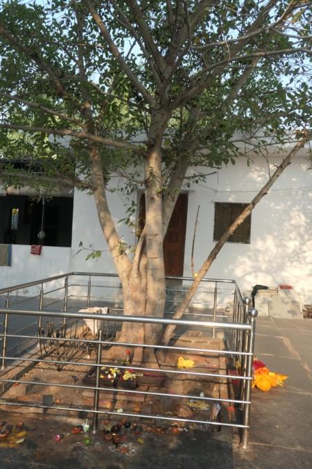 Journey to India 24-25, 2: Pilgrimage to Places of Lord Dattatreya – 1 Journey to India 24-25, 2: Pilgrimage to Places of Lord Dattatreya – 1