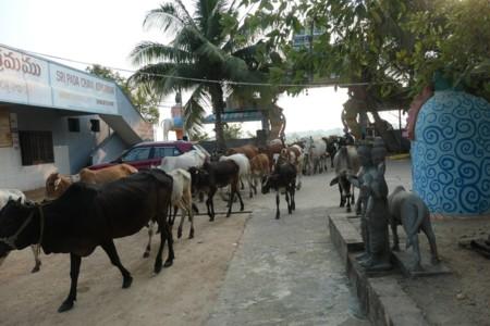 Journey to India 24-25, 2: Pilgrimage to Places of Lord Dattatreya – 1 Journey to India 24-25, 2: Pilgrimage to Places of Lord Dattatreya – 1