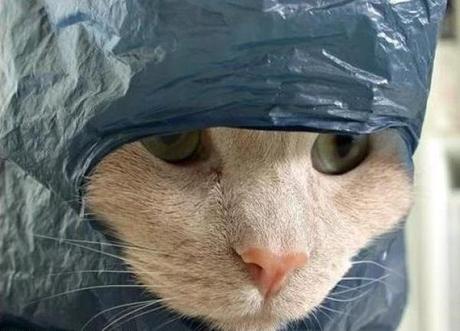 Ten Tips to Kickstart Your Career in Emergency Response Ten Tips to Kickstart Your Career in Emergency Response