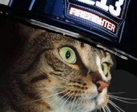 Ten Tips to Kickstart Your Career in Emergency Response Ten Tips to Kickstart Your Career in Emergency Response