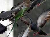 தம்தன நம்தன தாளம் வரும், புது ராகம் வரும்