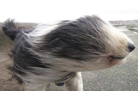 Blown Away: 10 Incredible Insights Into Wind and Its Measurement