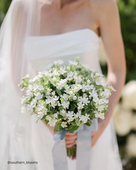 Enchanting Spring Wedding Bouquets: From Classic to Contemporary spring wedding bouquets small rouund white and green field flower bridal bouquet southern blooms