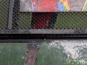 Real Unreal Debate Scarlet Macaw Photo