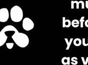 What Must Know Before Selling Your PAWS Vouchers