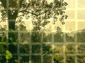 ChatGPT: Exploring Digital Wilderness, Findings Prospects