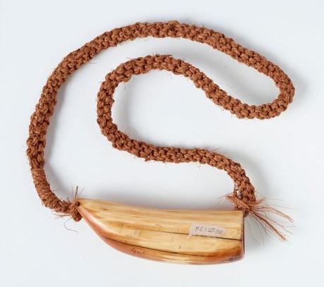 Beyond Roses and Chocolates: 10 Fascinating Romantic Traditions Whale’s teeth gifts: Fiji