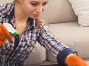 Acacia Wood Care: Take Best Care Wood?