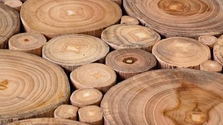 Acacia Wood Comparison Acacia Wood Comparison