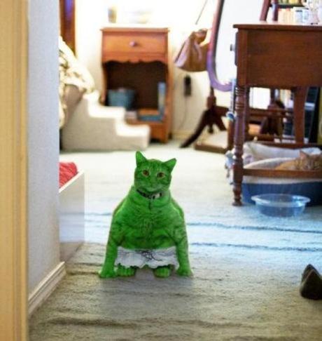 Superhero Cat Inspired By Hulk