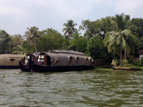 20 Best Places to Visit in Kerala Image of traditional houseboats parked along the shore in the Kerala backwaters, surrounded by lush green palm trees and vegetation.