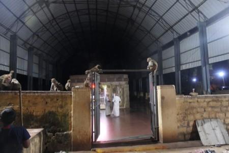 Journey to India 24-25, 8: Pilgrimage to Places of Lord Dattatreya – 7 Journey to India 24-25, 8: Pilgrimage to Places of Lord Dattatreya – 7