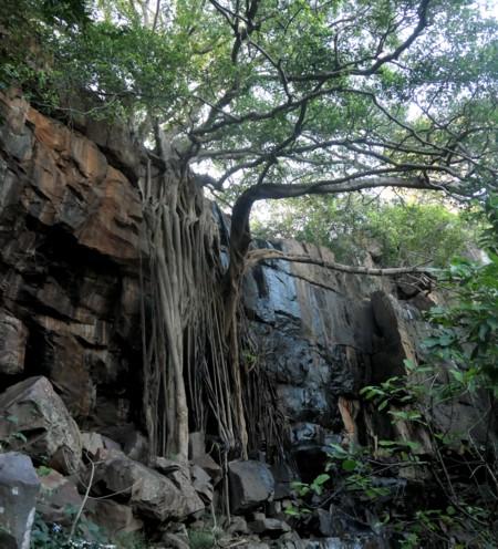 Journey to India 24-25, 8: Pilgrimage to Places of Lord Dattatreya – 7 Journey to India 24-25, 8: Pilgrimage to Places of Lord Dattatreya – 7