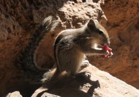 Journey to India 24-25, 7: Pilgrimage to Places of Lord Dattatreya – 6 Journey to India 24-25, 7: Pilgrimage to Places of Lord Dattatreya – 6