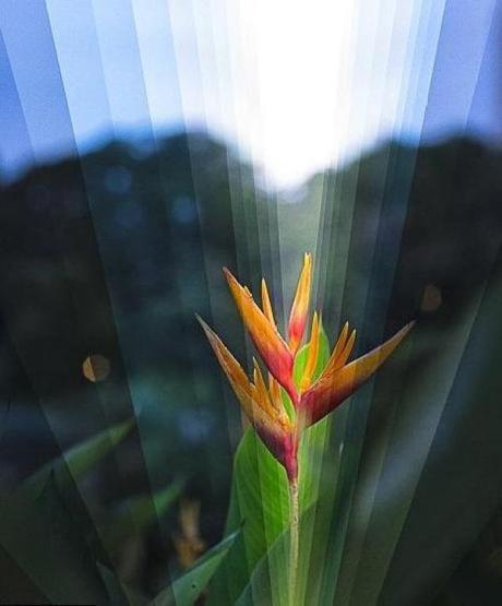 Dusk to Dawn: Ten Tips for Perfect Landscape Photography Ong Qi Wei: Time is a Dimension