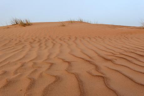 19 Best Places to Visit in Oman Pretty patterns in the sand in the desert in oman