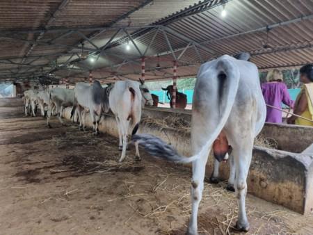 Journey to India 24-25, 9: WTT Group Live in Visakhapatnam Journey to India 24-25, 9: WTT Group Live in Visakhapatnam