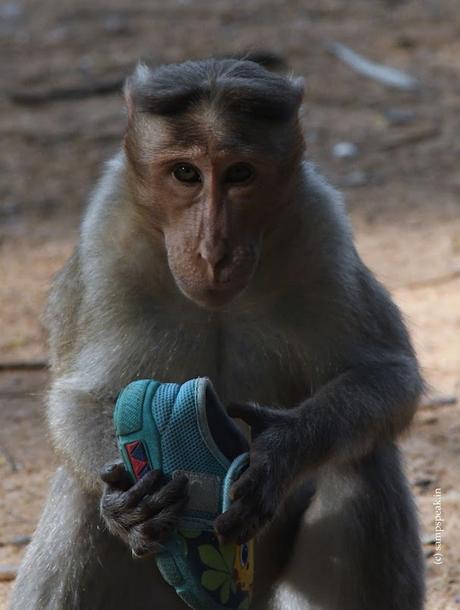 Products, endorsements and more !! Products, endorsements and more !!