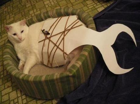 Mermaid Cat