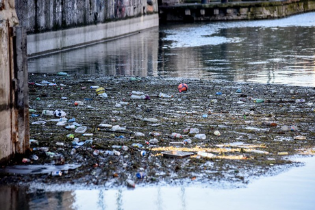 Let’s Leave a Better Earth for the Next Generation