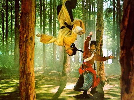 Master, I want to learn Kungfu !! Master, I want to learn Kungfu !!