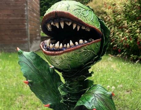 Ten Flesh-Eating Plants and Their Astonishing Feeding Tactics Ten Flesh-Eating Plants and Their Astonishing Feeding Tactics