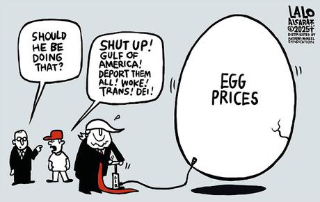 He Wasn't Elected To Do That