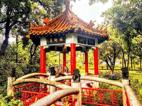 Serving It Up... Tropical Typhoon Days: Taipei, Taiwan!