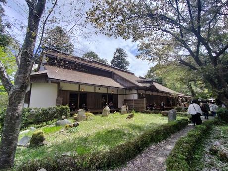 Temples and Cherry Blossoms in Mount Yoshino (Nara)