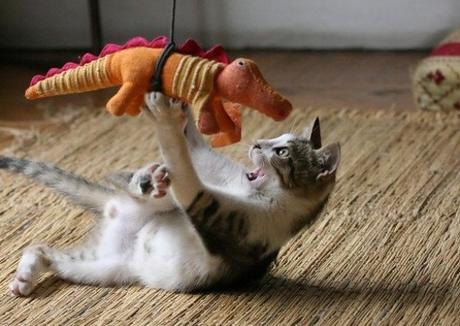 Ten Legendary Dragon Facts That Will Surprise You