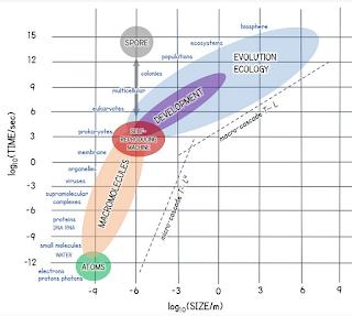 Life sets off a cascade of machines