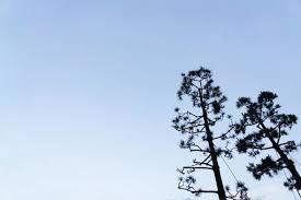 Trump & Crypto: What Could Go Wrong? Trump & Crypto: What Could Go Wrong?