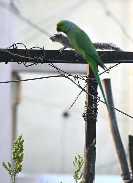 Friendship by proximity !! ~ நயப்பாகும் நட்பாரும் இல். Friendship by proximity !! ~ நயப்பாகும் நட்பாரும் இல்.