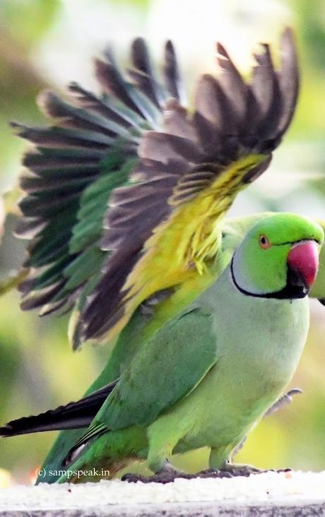 கண்ணை நம்பாதே, உன்னை ஏமாற்றும் ~ Sachaa Jhutha கண்ணை நம்பாதே, உன்னை ஏமாற்றும் ~ Sachaa Jhutha