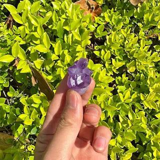 The Ultimate Guide to Crystals: Their Power, Benefits, and Where to Buy Them The Ultimate Guide to Crystals: Their Power, Benefits, and Where to Buy Them