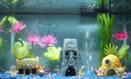 Ten Tips for Keeping Your Small Fish Tank Clean Ten Tips for Keeping Your Small Fish Tank Clean
