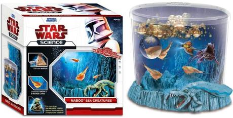 Ten Tips for Keeping Your Small Fish Tank Clean Ten Tips for Keeping Your Small Fish Tank Clean